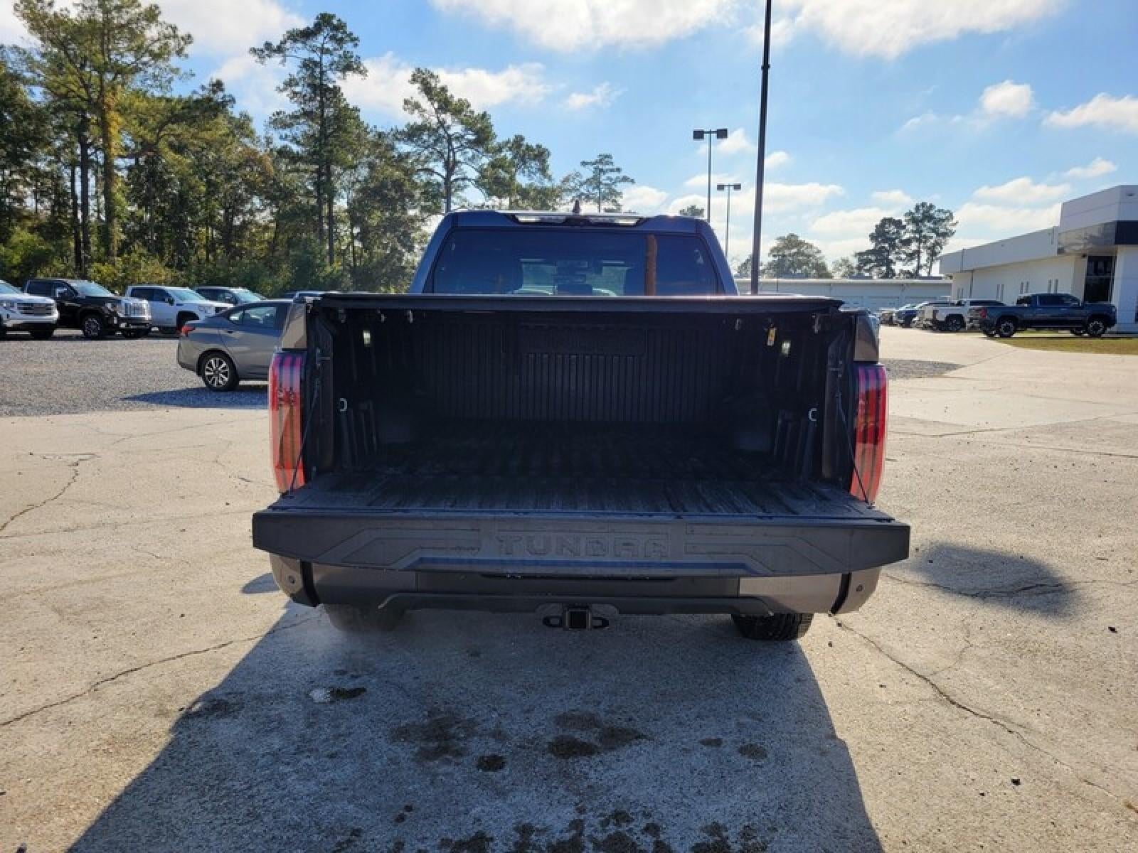 2023 Toyota Tundra 4WD Platinum