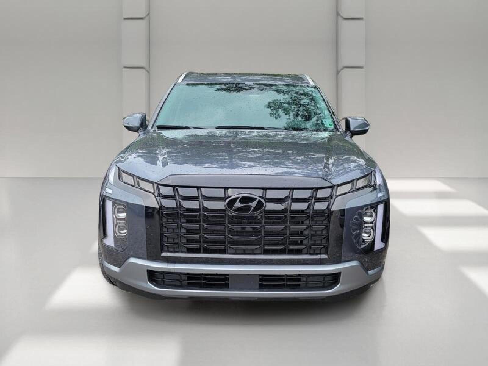 2025 Hyundai Palisade SEL Premium 8P